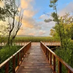 Lago's Tiny House Sapanca