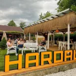 Hardal Burger Kırkpınar