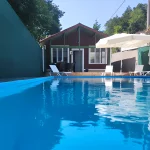 feel-and-live-hotel-sapanca-havuzlu-superior-villa-2